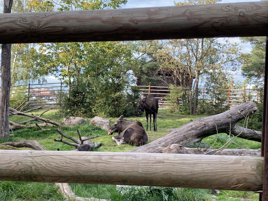 Vlakem do Stockholmu, Göteborgu a zpátky do Osla 25