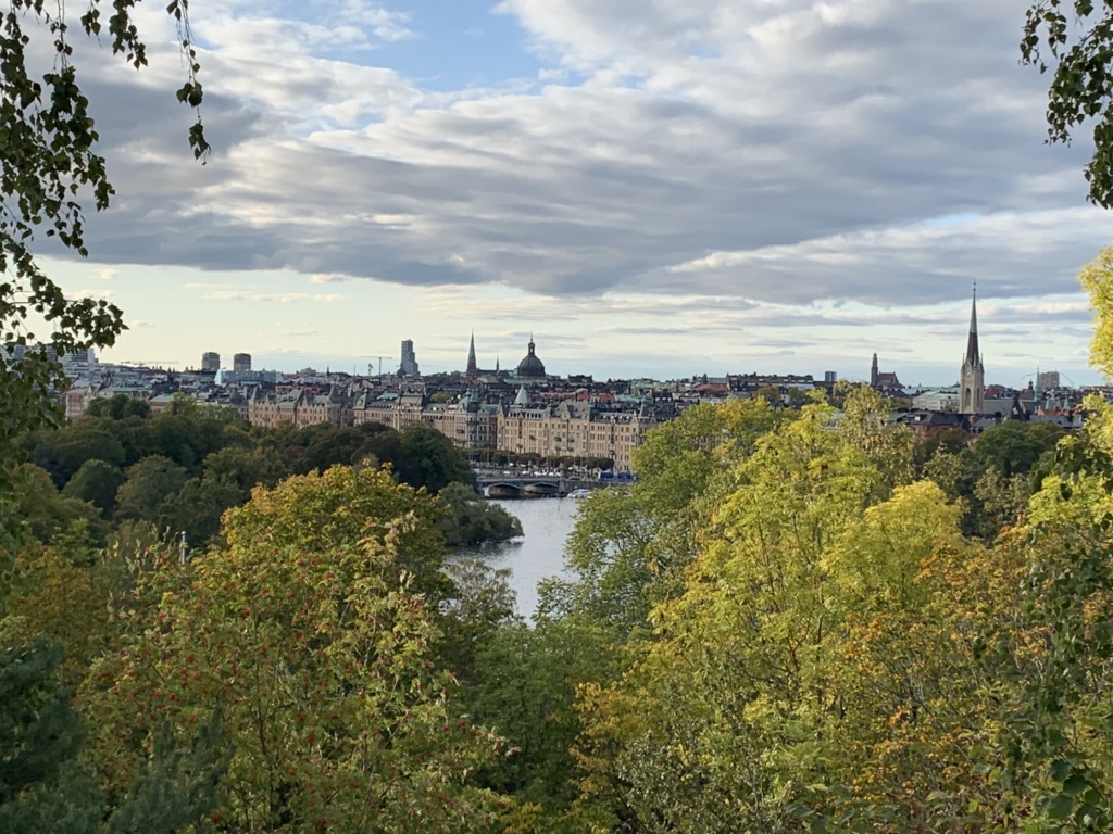 To the Stockholm, Goteborg and back to Oslo by train 26