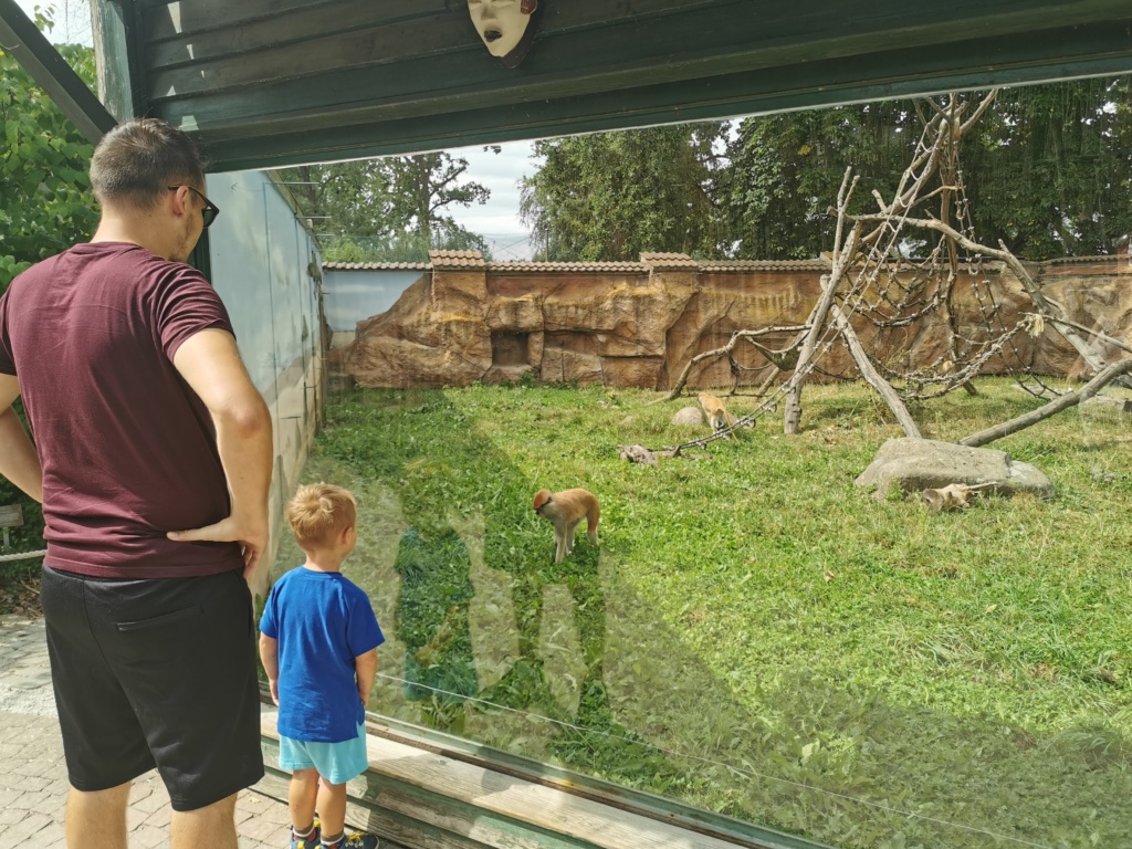 První cyklo dovolená k rakouským jezerům 5