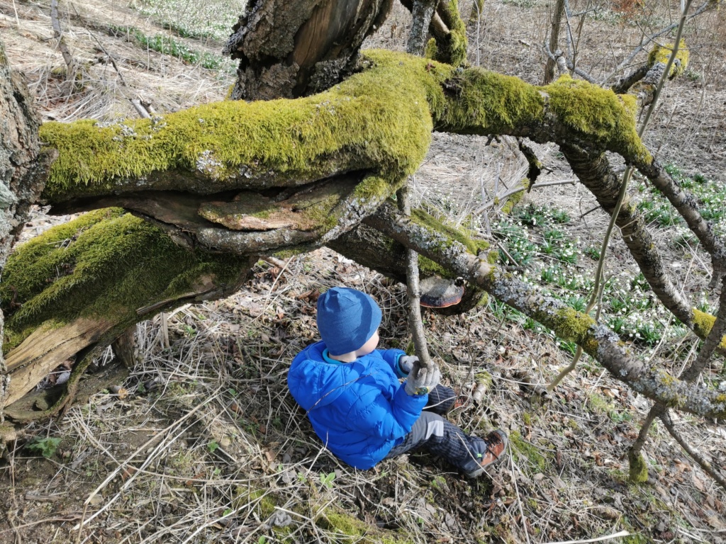 První jarní dovolená Bezděkov nad Metují 9