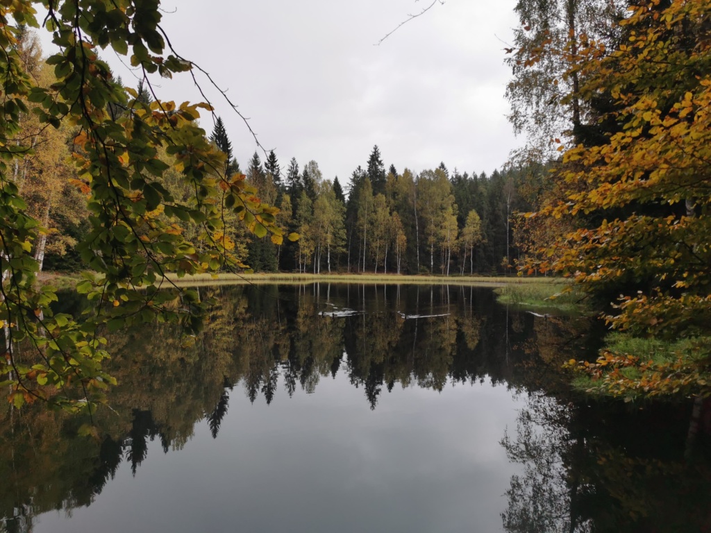 Skalní hrad, Bischofstein 3