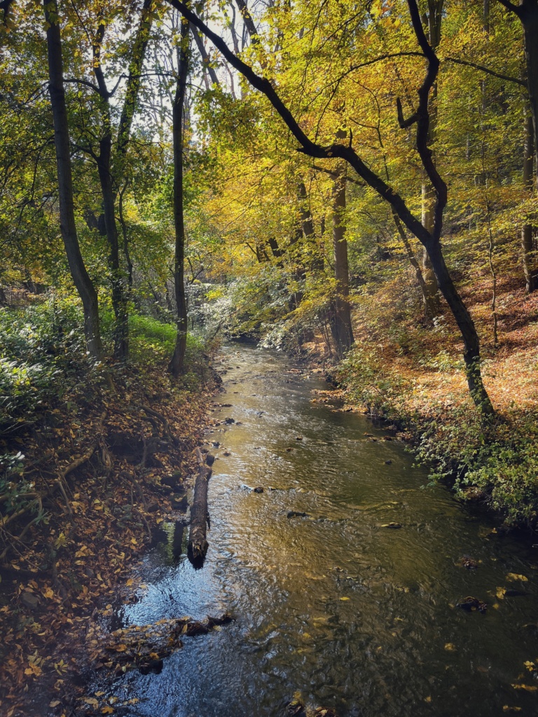 21.10.2022 - Naše lesní radovánky