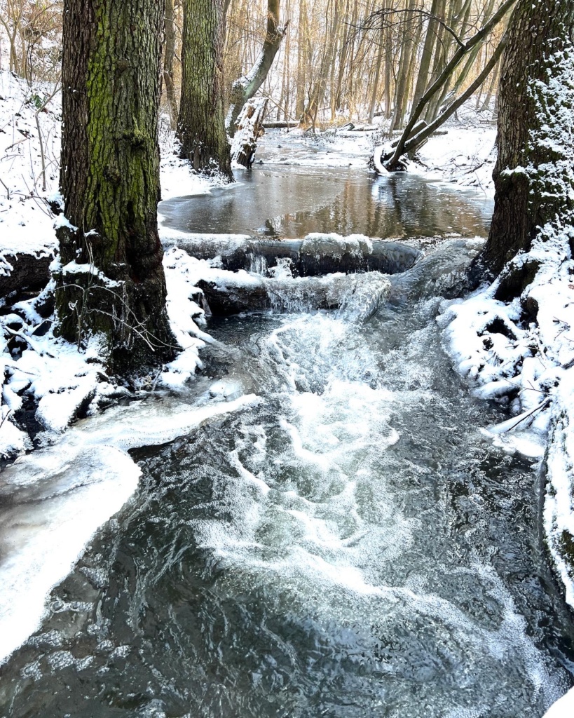 11.12.2022 - Procházka s Mirkou