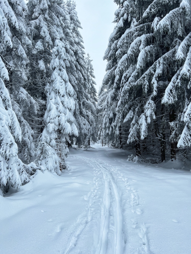 18.12.2022 - Konečně vyjížďka na lyžích