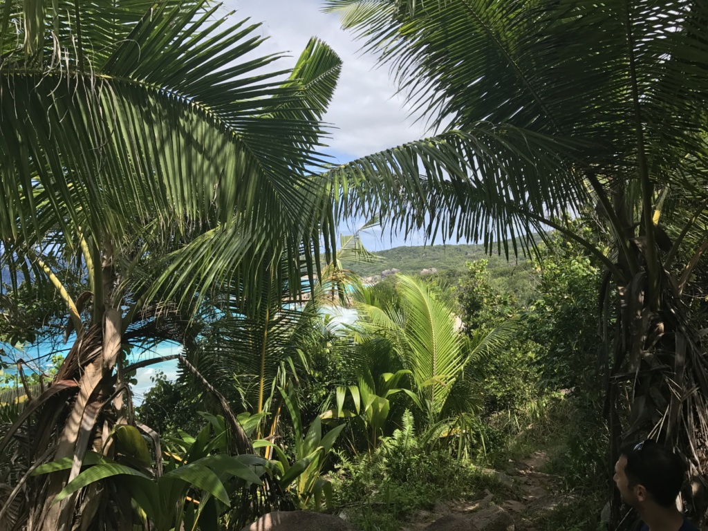 Seychelly - naše svatební cesta 2017 17