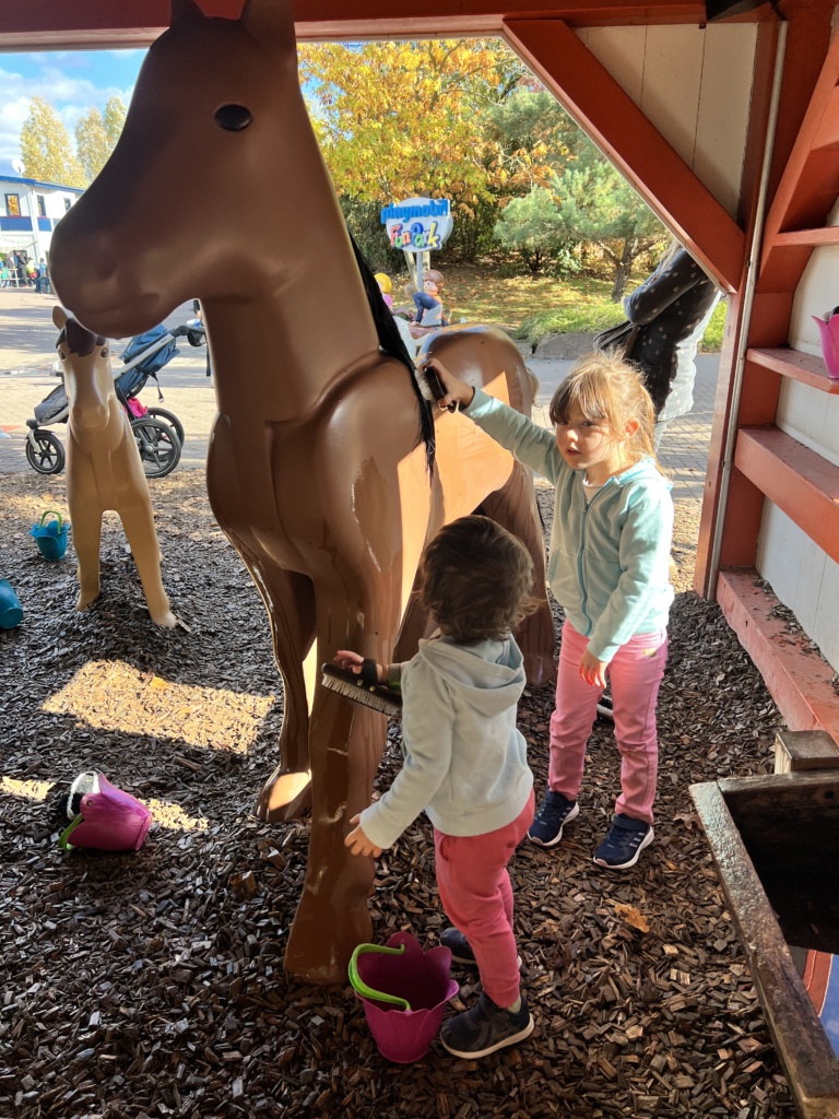 21.10.2023 - Narozeninový dárek a Playmobiil funpark