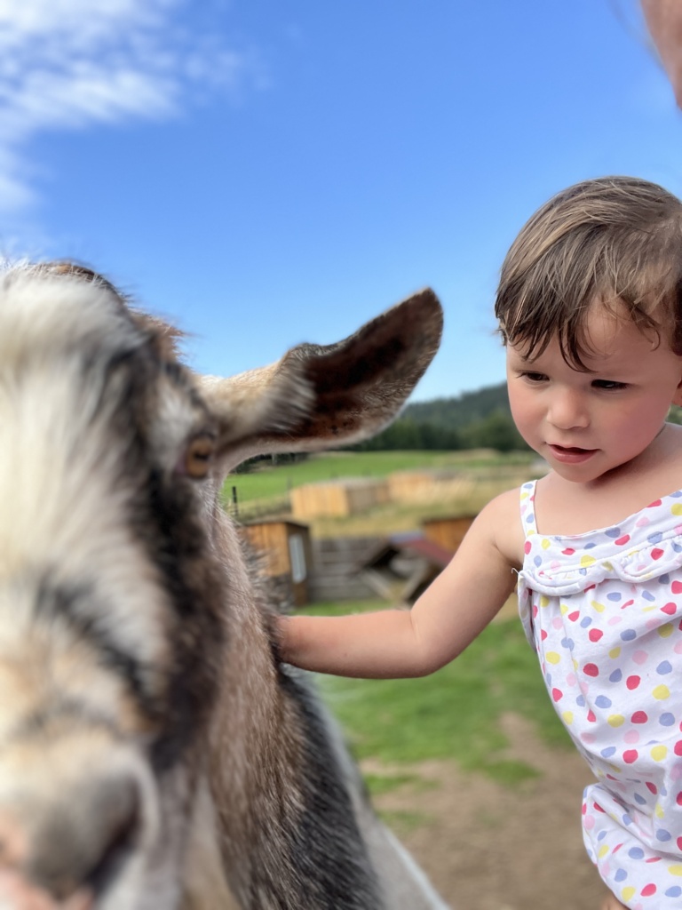 20.8.2023 - Zoo Laczna