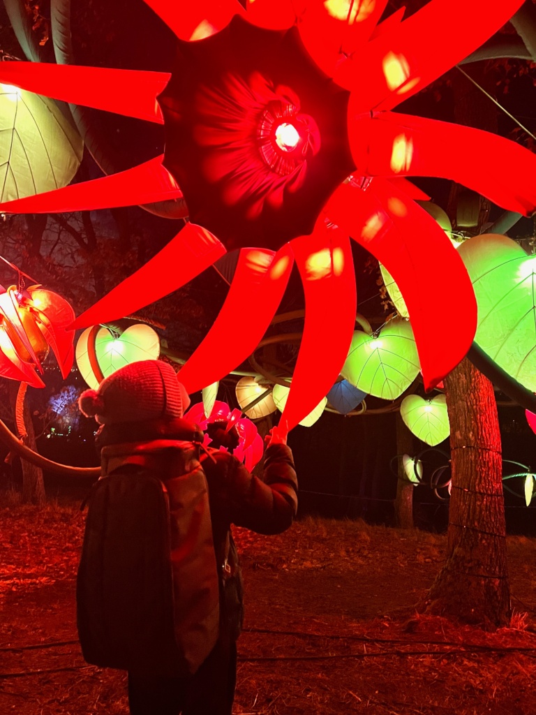 24.1.2024 - S Ondrou na festivalu světel na Šárce