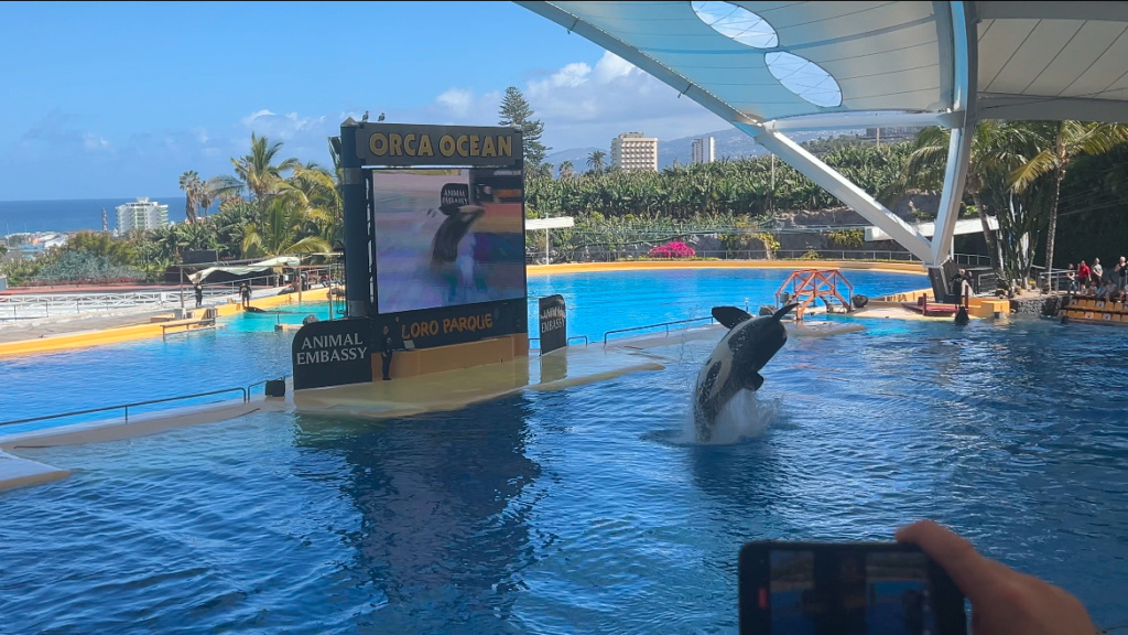 2.3.2025 - Loro Parque