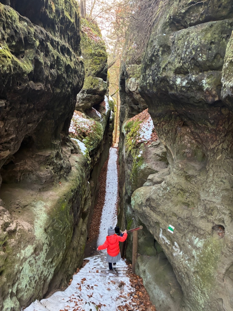 16.2.2026 - Výlet na Kokořínsko