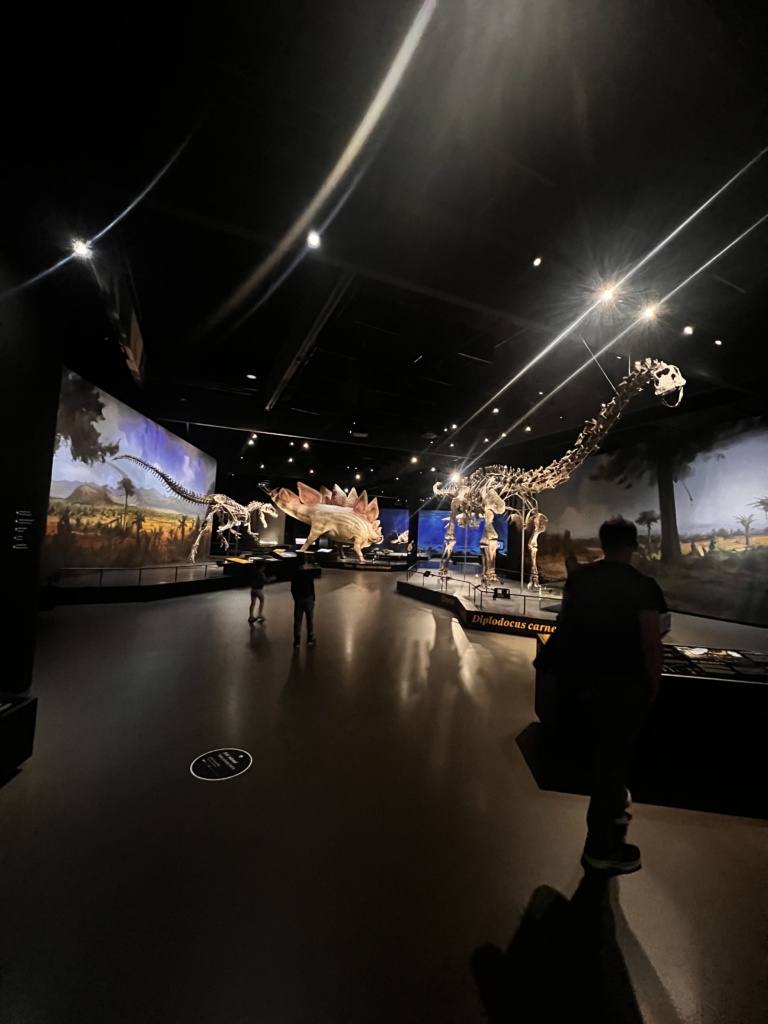 24.2.2026 - Na výstavě dinosaurů