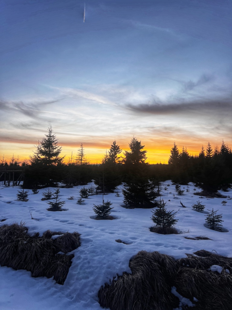 28.2.2026 - poslední lyžování ve 20 stupních