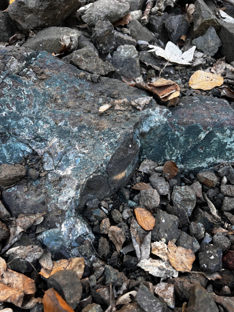 5.3.2026 - Lov polodrahokamů v Kozákově