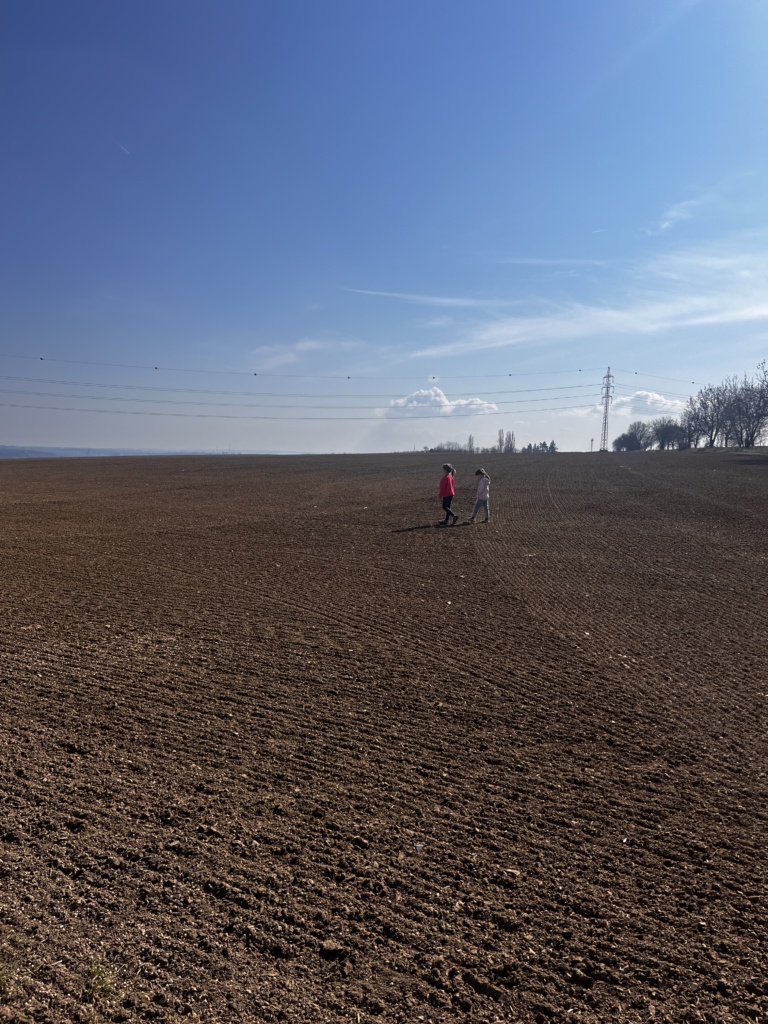 18.3.2026 - Procházka na Housle