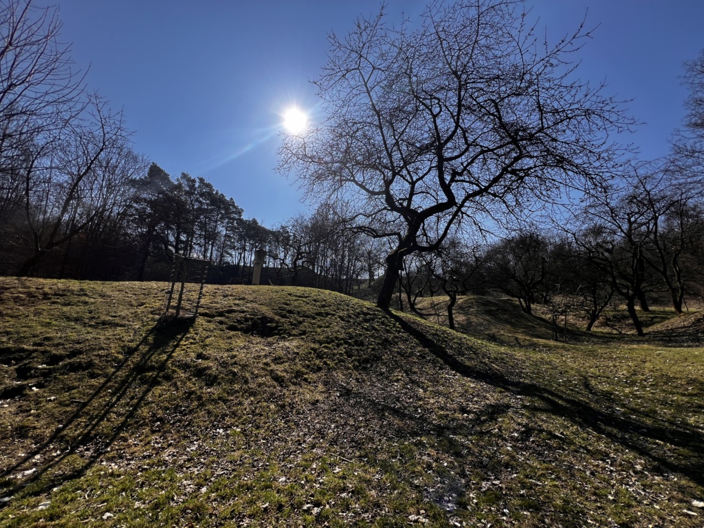 18.3.2026 - Procházka na Housle