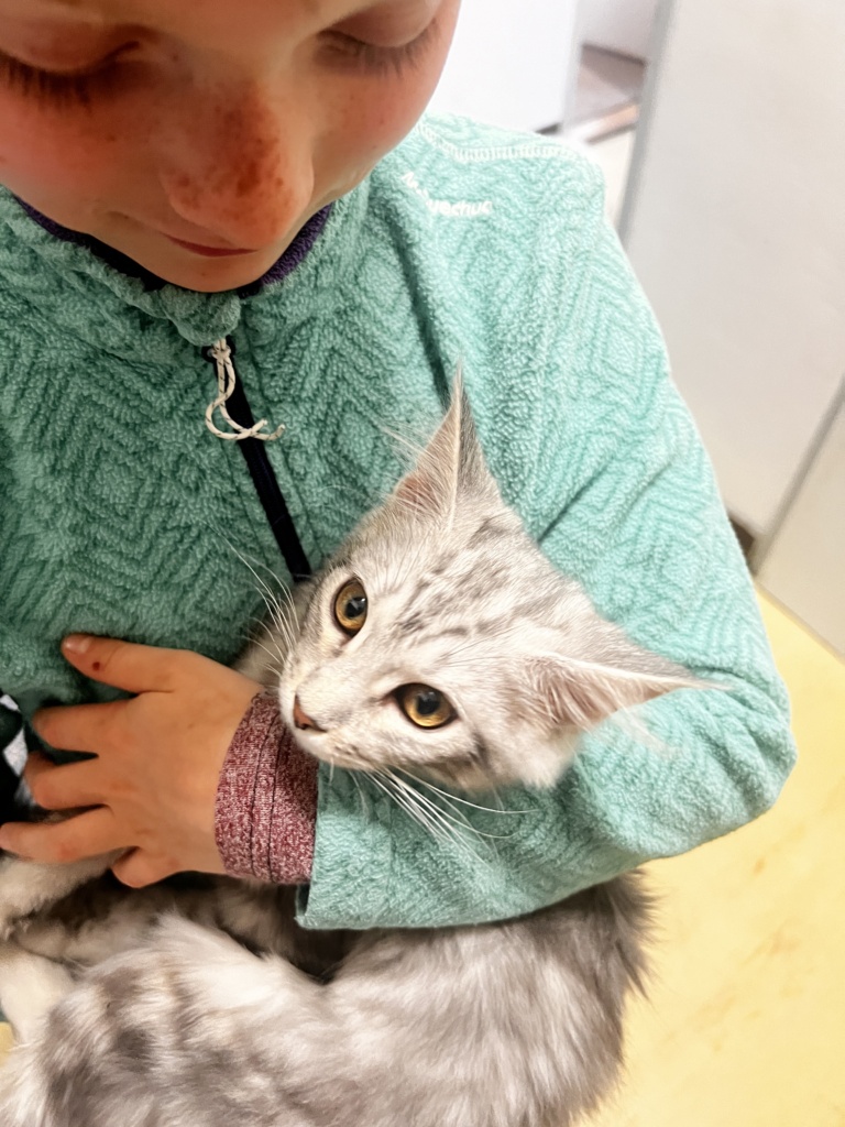 21.3.2026 - Na Kontrole na PPP