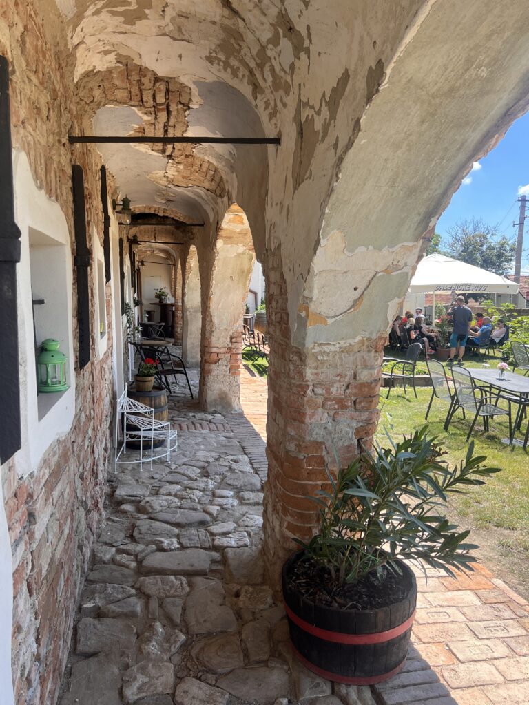 13.6.2026 - Morava na kolech